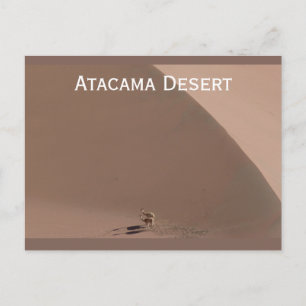 Atacama Desert, Chiles vykort