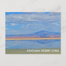 Atacama Desert, Flamingo Chile-vykort Vykort