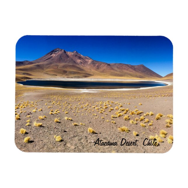 Atacama Desert Magnet (Horisontell)