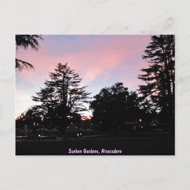 Atascadero Sunken Gardens i Sunset Vykort (Framsida)