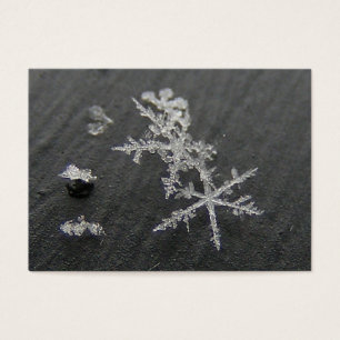 ATC för ~ för snöflinga 49 Visitkort