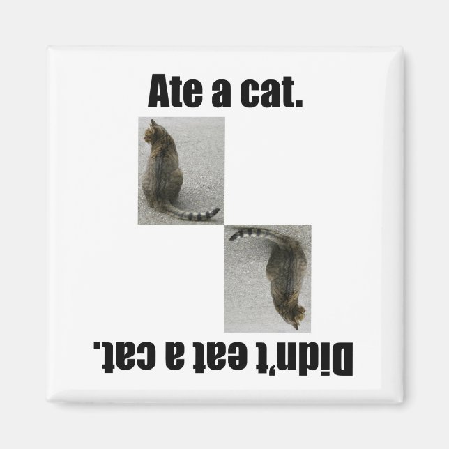 Ate A Cat. Magnet (Framsidan)