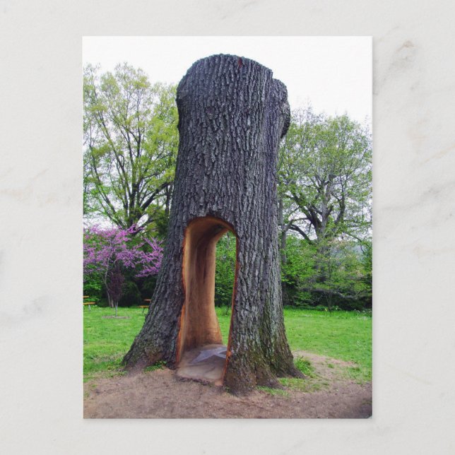 Återanvänd vykort (Framsida)