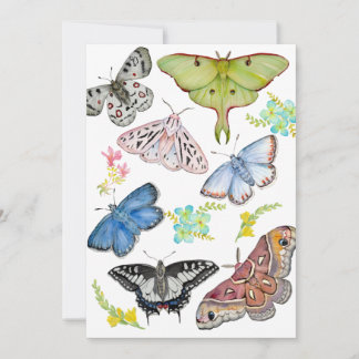 Återanvändbar matkasse julkort