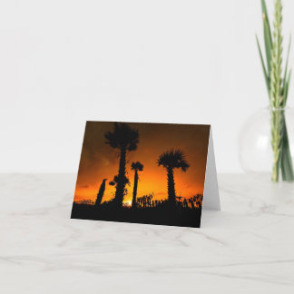Återbesökte Palmettos Kort