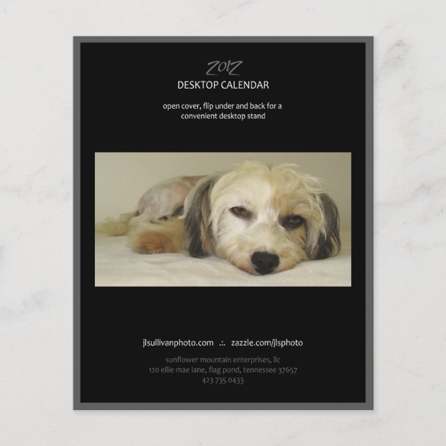 Återblick 2012 (Framsida)