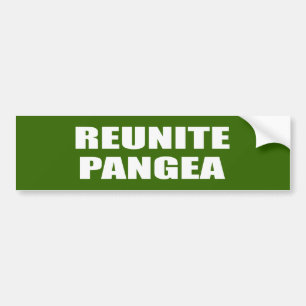 ÅTERFÖRENA PANGEA BILDEKAL
