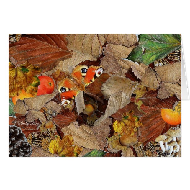 ÅTERFÖRSÄKRINGSTEST ~ Card OBS Kort (Framsidan Horizontal)