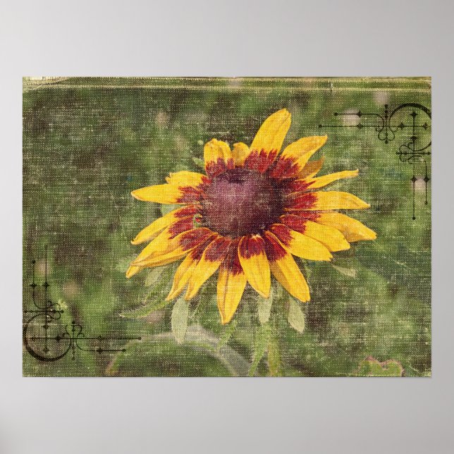 Återigen en blomma poster (Framsidan)