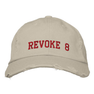 ÅTERKALLANDE 8 BRODERAD KEPS