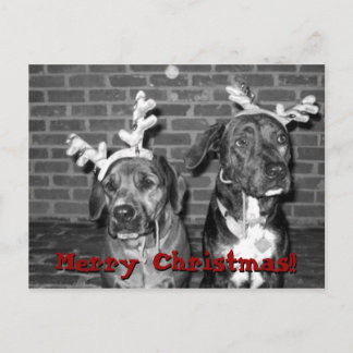 Återkoppling av julafton-kort, God jul!!.. Helg Vykort