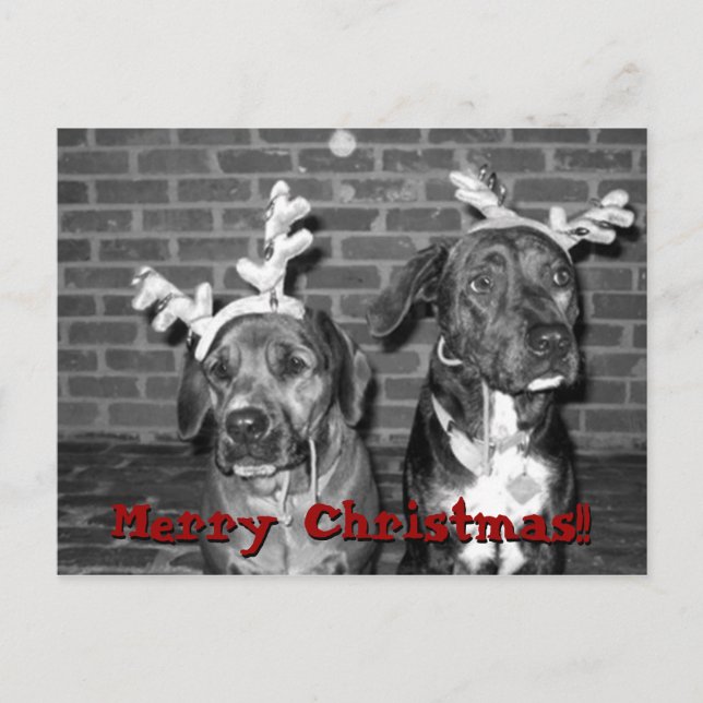 Återkoppling av julafton-kort, God jul!!.. Helg Vykort (Framsida)