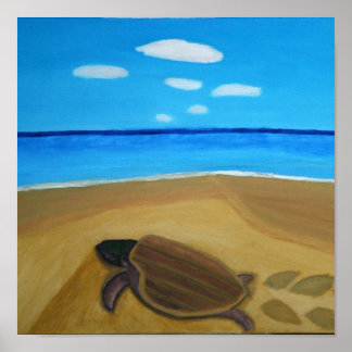 Återlämnande av sköldpaddsPoster Poster