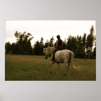 Återresa i drömvärld - Poster