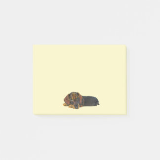 Återställ anteckningar för Dachshund efter IT Post-it Block
