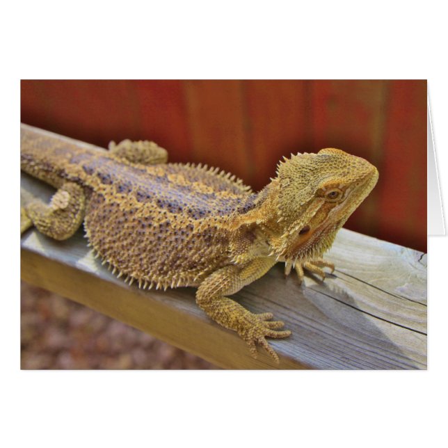 Återställ böjd dragvagn 2 hälsningskort (Framsidan Horizontal)