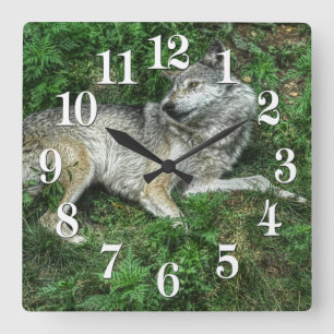 Återställa Grått Varg 2 Wildlife Clock Fyrkantig Klocka