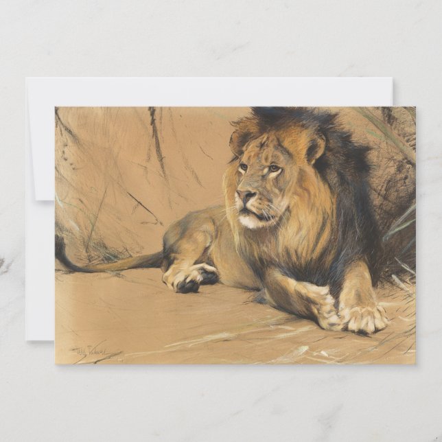 Återställa Lejon | Wilhelm Kuhnert (Framsida)