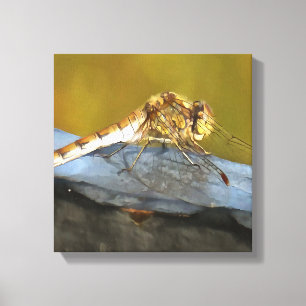 Återställa Ochre Brown Dragonfly Realistisk målnin Canvastryck