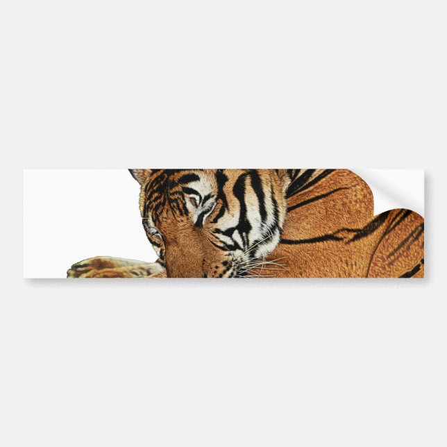 Återställa tiger bildekal (Framsidan)