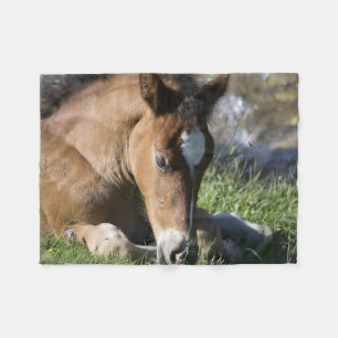 Återställa Vild Pony Fleecefilt