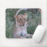 Återställande av Lioness African Wildlife Porträtt Musmatta<br><div class="desc">Fotograferat i Afrika,  detta porträtt visar på en viloleoness. Som de skickliga jägarna och väktarna av deras pride symboliserar lioneserna styrka,  enighet och motståndskraft. Fotograferad av fotografen Richard Smith som har lärt sig och hedrat sina kunskaper sedan 2009!</div>