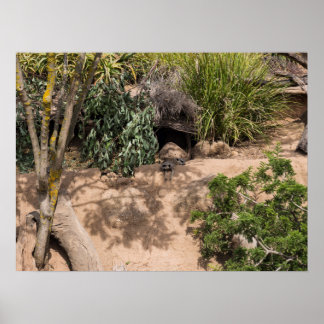 Återställande av livsmiljöer i vilda djur och växt poster