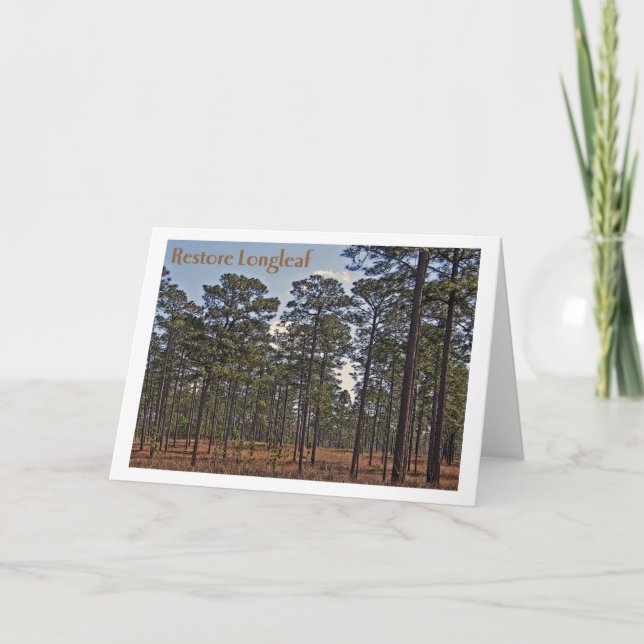 Återställande Longleaf Kort (Framsida)