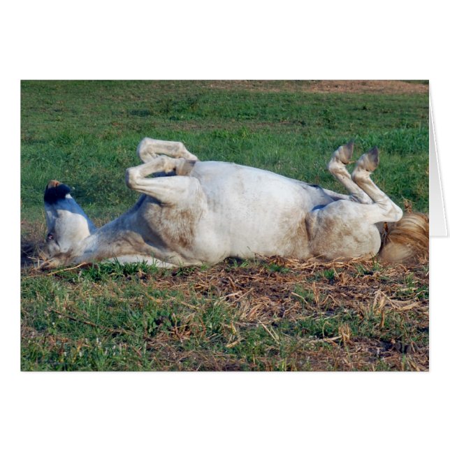 Återställer bara hälsningskort (Framsidan Horizontal)