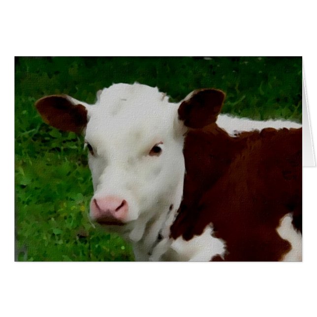 Återställer kalvkort hälsningskort (Framsidan Horizontal)