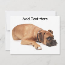 Återställning av egna boxare