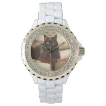 Återställning av katt b**** ansikte