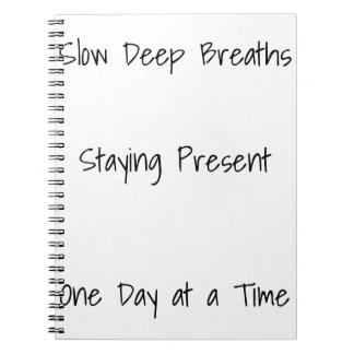 Återställning Journal Anteckningsbok