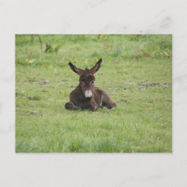 Återställning på gräs vykort