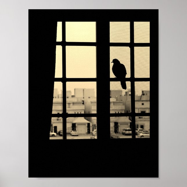 Återställningsduva Poster (Framsidan)