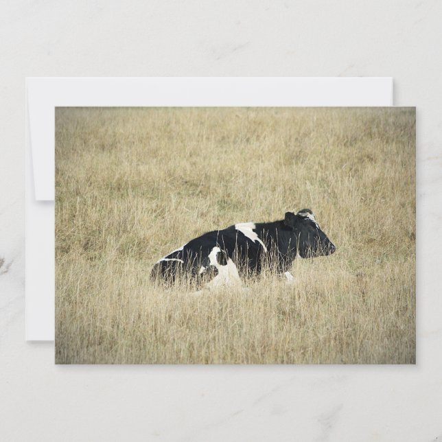 Återställningsmatta - inbjudan (Framsida)