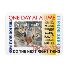 återställningsslogan magnet