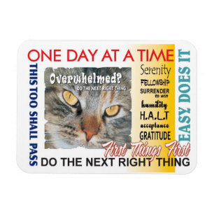 återställningsslogan magnet
