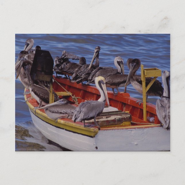 Återställningstid, Venezuela Vykort (Framsida)