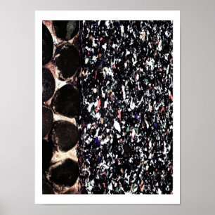 Återvinna ~ Pring/Poster/Fotografi Poster
