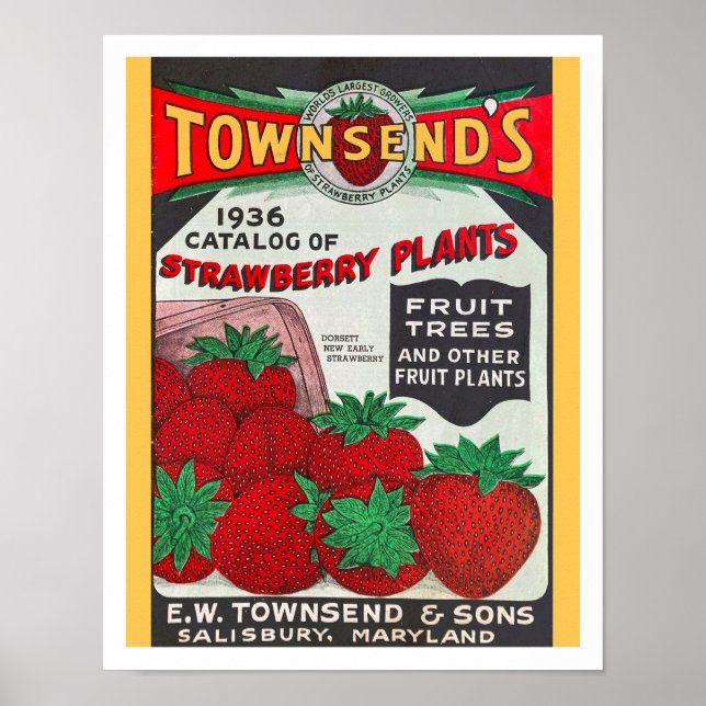 ÅTERVINNING: SEED CATALOG 1936 POSTER (Framsidan)