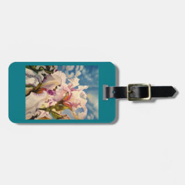 åtfölja handväska eller bagagemärkre bagagebricka