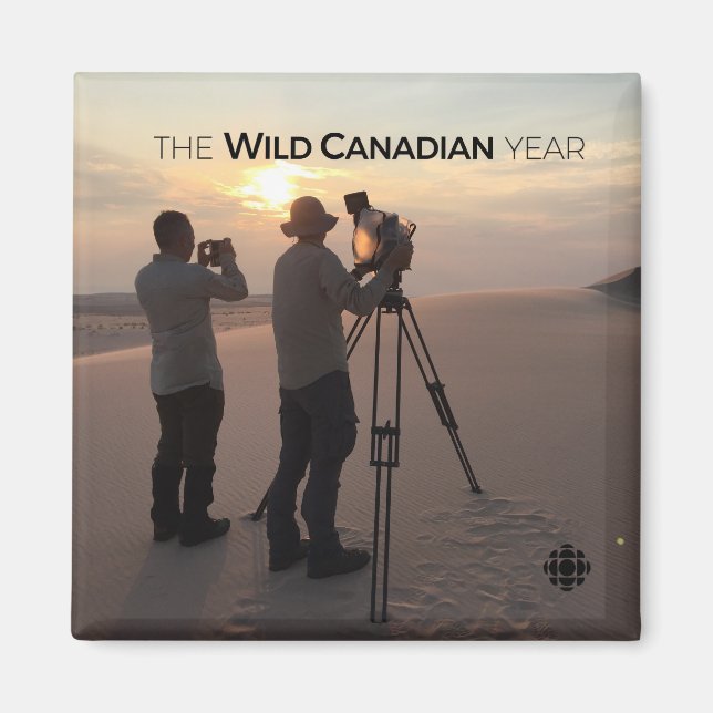 Athabasca Sand Dunes Magnet (Framsidan)