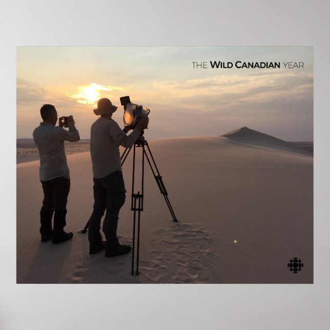 Athabasca Sand Dunes Poster (Framsidan)