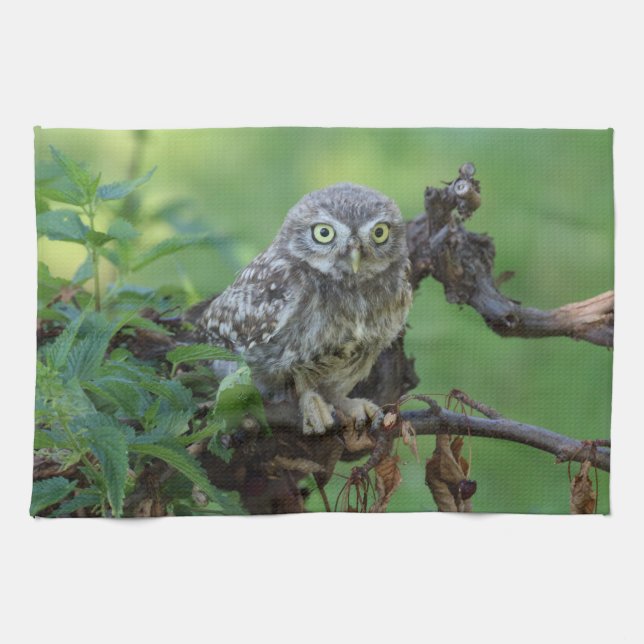 Athene nopunkta kökshandduk (Horisontell)