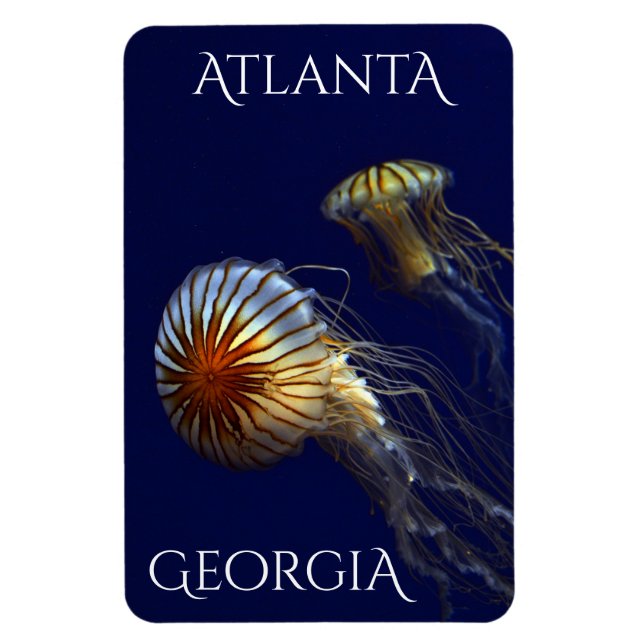 Atlanta Georgia Nyfiken Jellyfish Magnet (Vertikal)