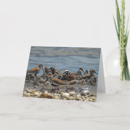 Atlanten Kusten Shorebird: Delaware Bay Kort