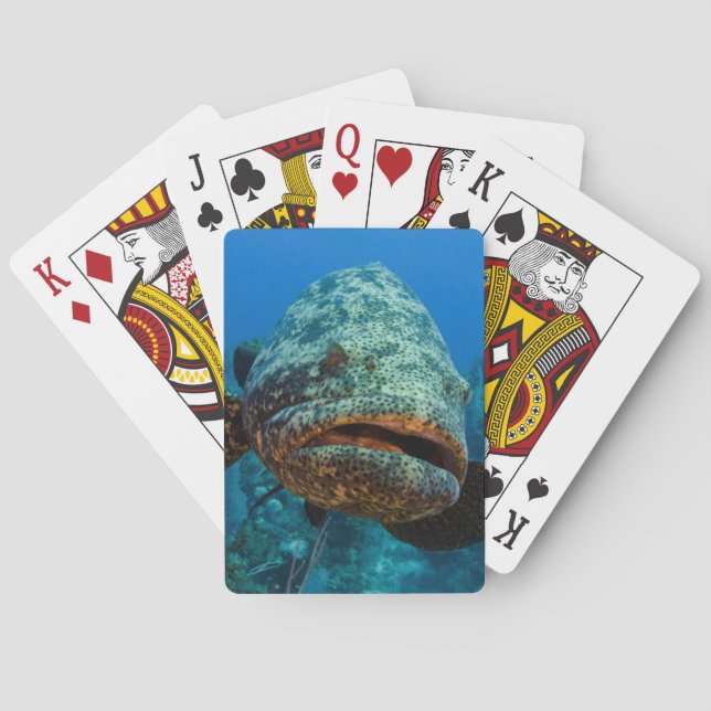 Atlantgrupperaren Casinokort (Baksidan)