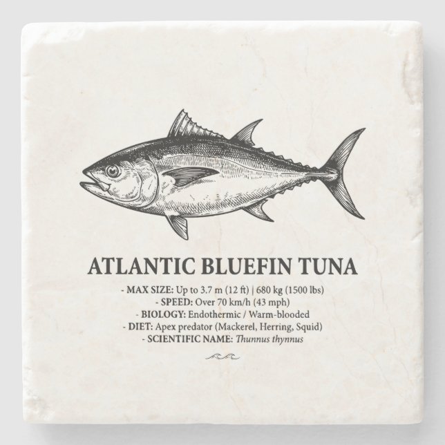 Atlantic Bluefin Tuna Scientific Illustration  Stenunderlägg (Framsidan)