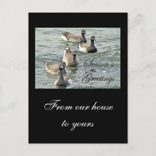 Atlantic Brant Geese Season's Greetings Series Helg Vykort
